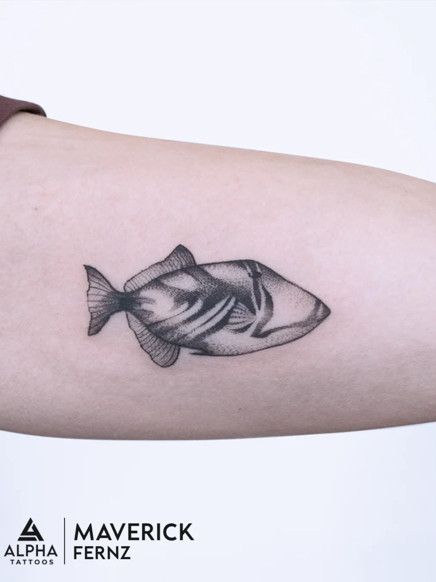 Stipling (16)
